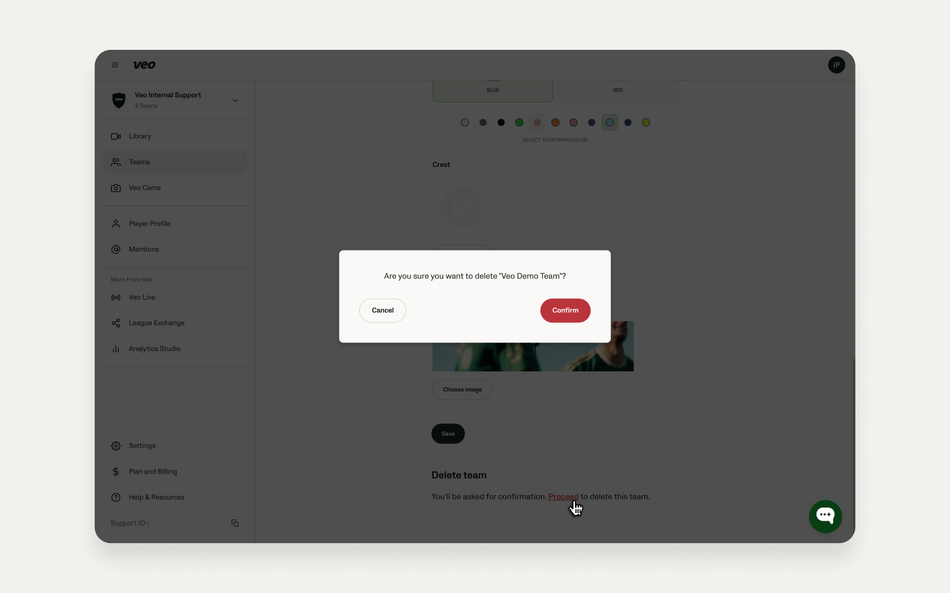 Confirmation window asking the user to confirm team deletion