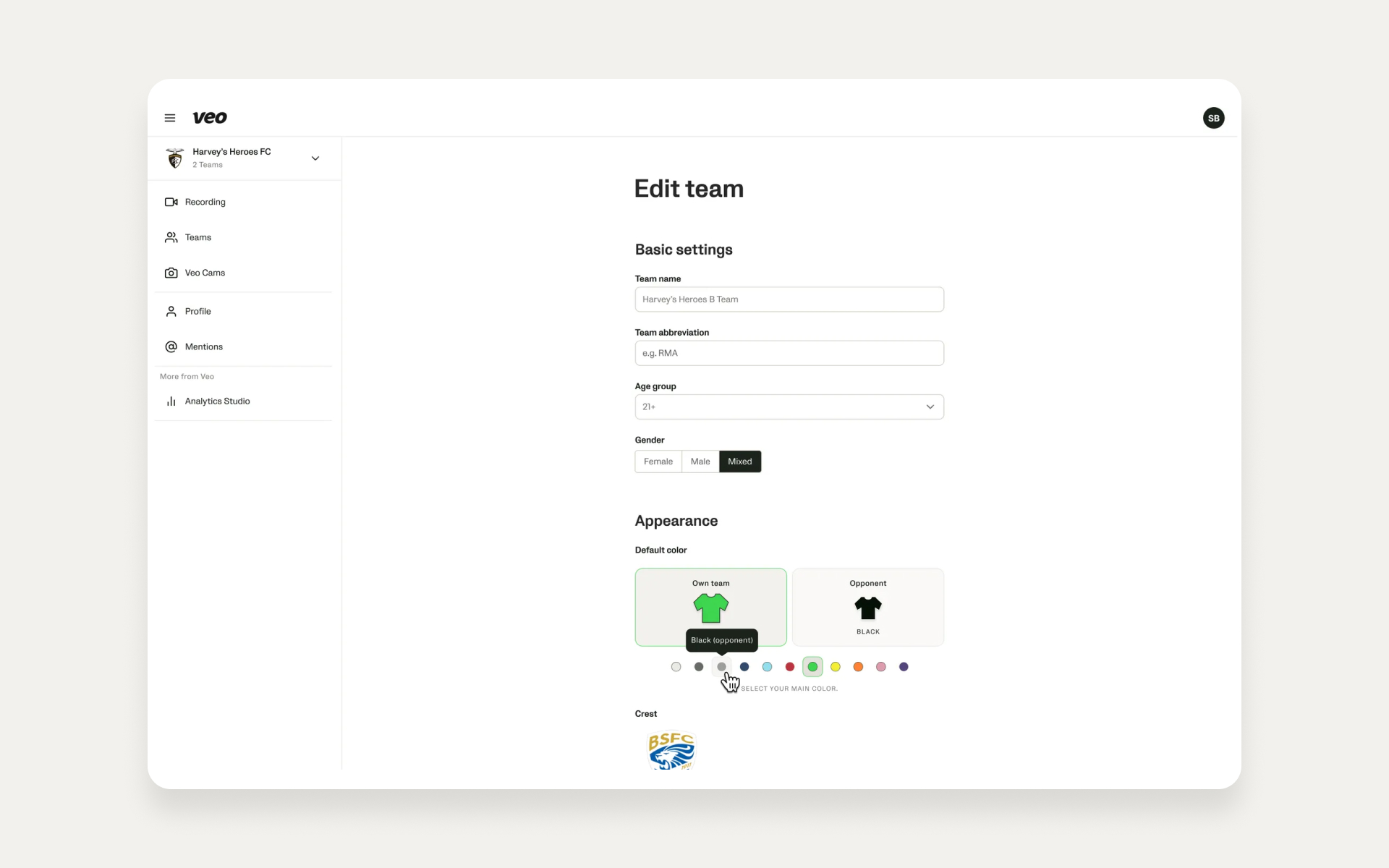 Team settings screenshot