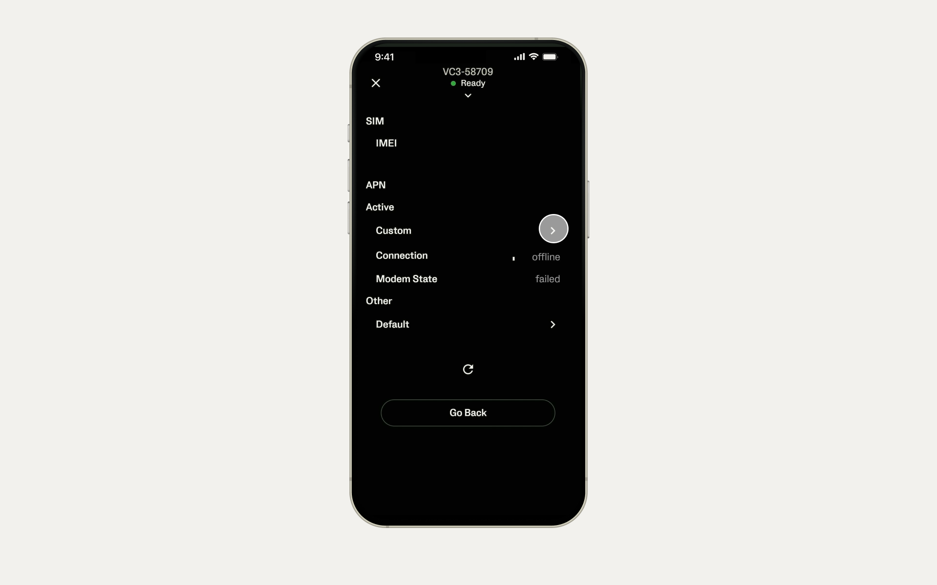 Niestandardowy APN w aplikacji Veo Cam App.jpg